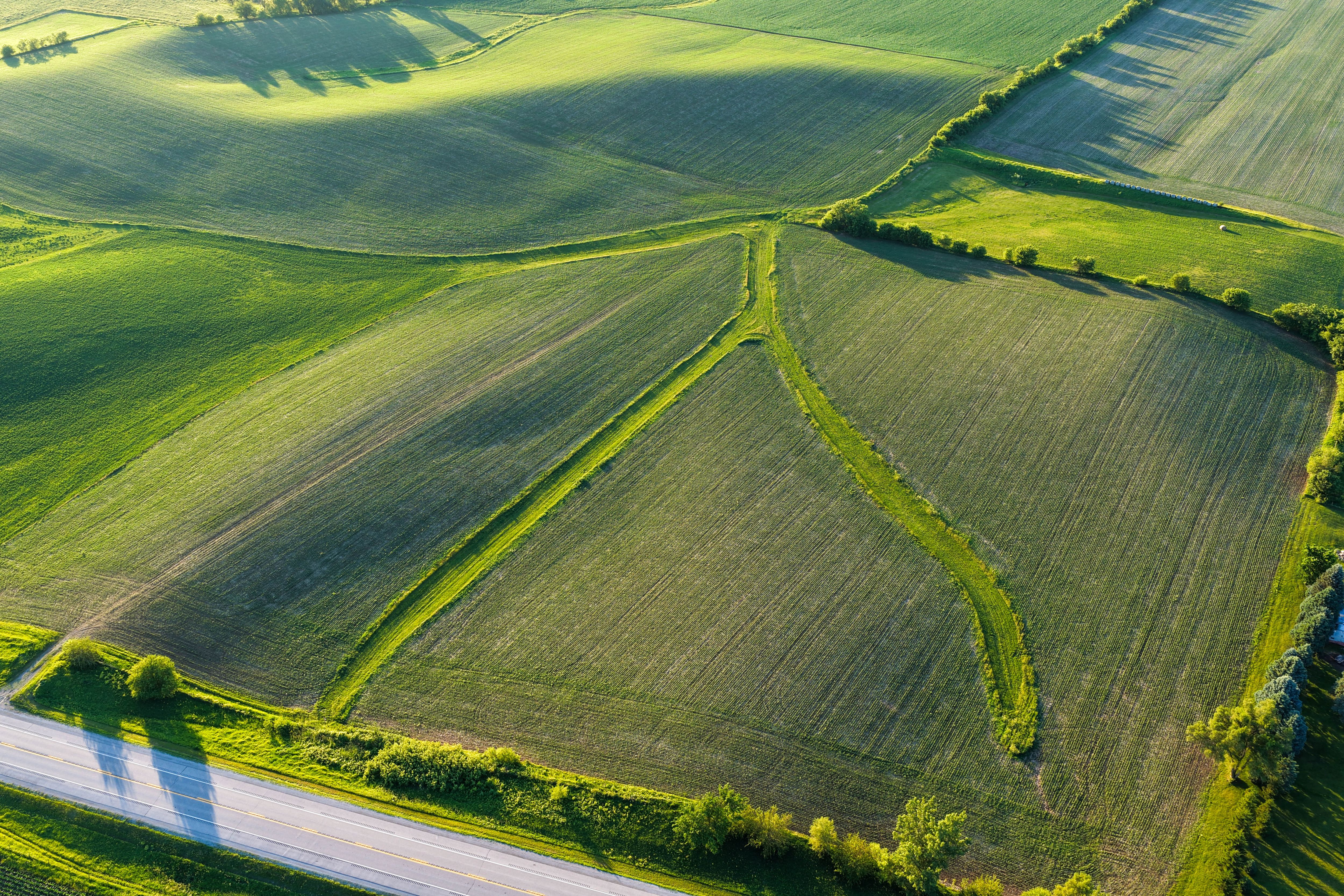 Listing Photo: Hard Surface road plus 40 acre Building Site Johnson County Iowa-25